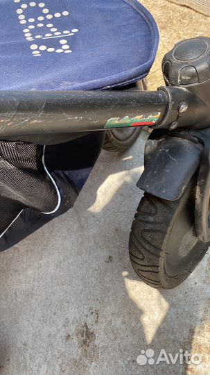 Коляска zippy 3 в 1