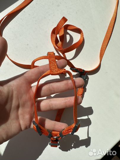 Шлейка для кошек или мелких собак