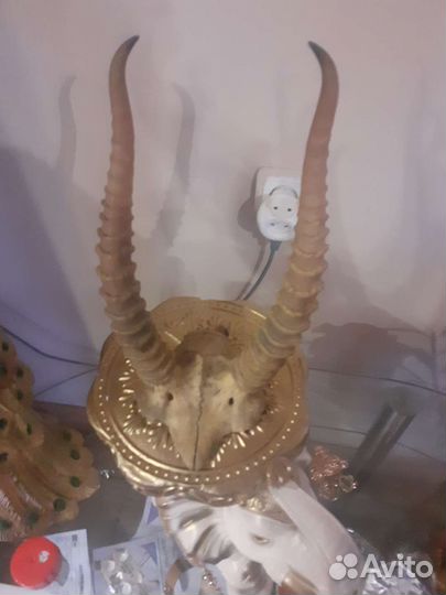 Рога