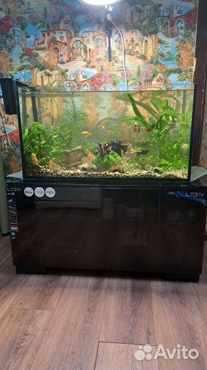 Аквариум