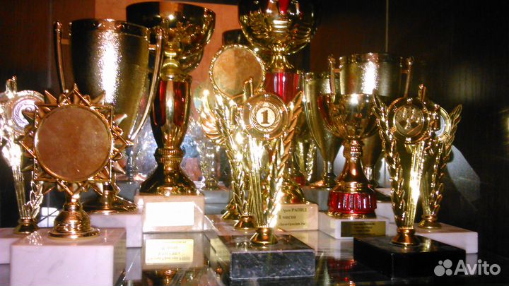 Тренер по шахматам