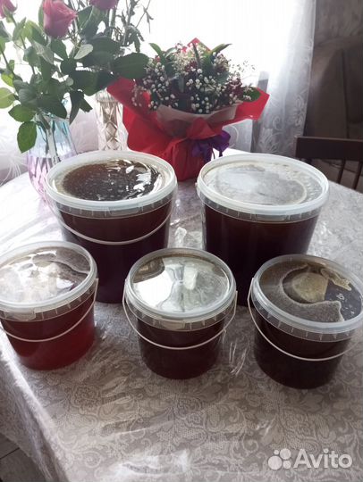 Свежий мед 2024