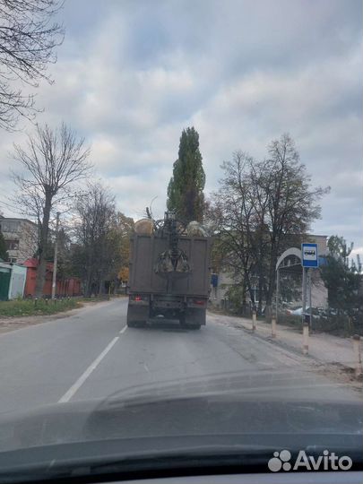 Спил деревьев,опиливание,обрезка,вывоз