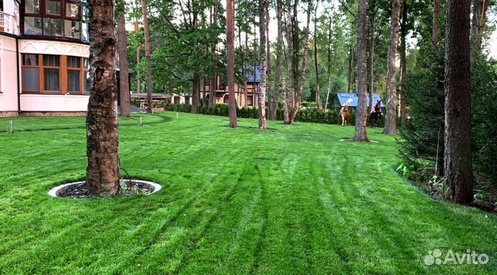 Рулонный газон