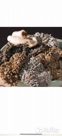 Рубец говяжий