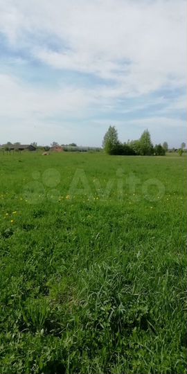 Дом 45 м² на участке 47 сот.