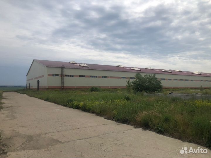 Ангар металлоконструкция S 17 тыс. кв.м