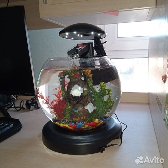 Аквариум 6.8 л (фильтр, крышка, освещение)