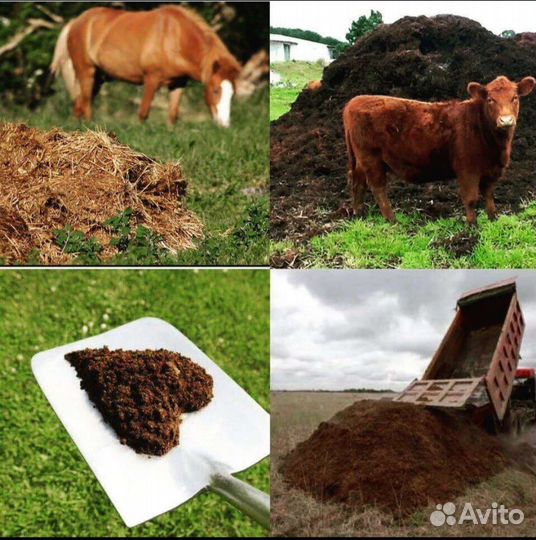 Навоз конский, перегной, чернозём