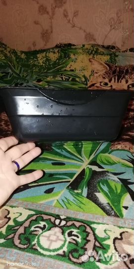 Лоток для кошек большой