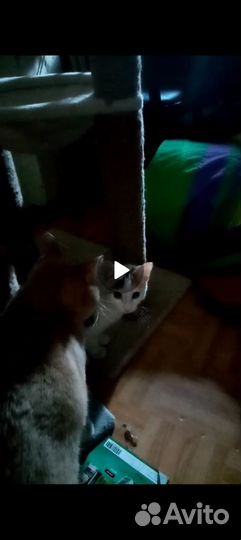 Малышка в добрые руки
