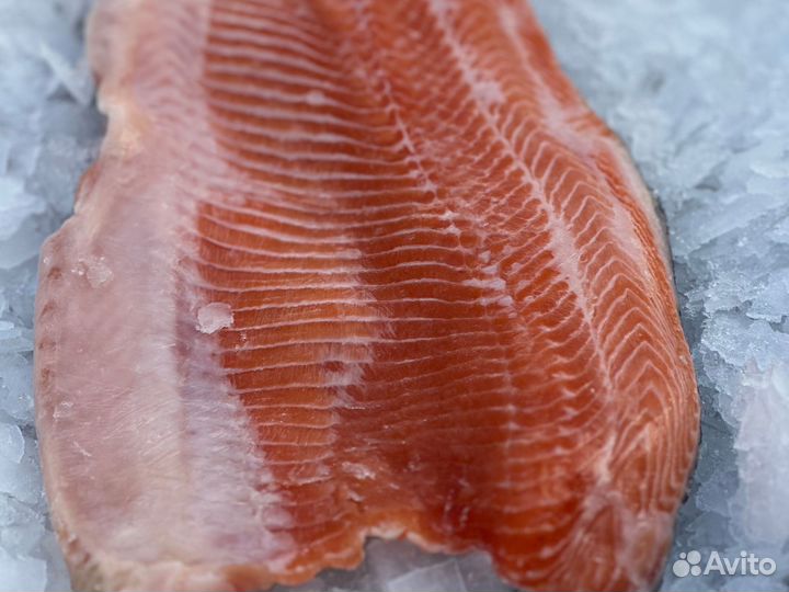 Охлажденная морская форель на праздничный стол