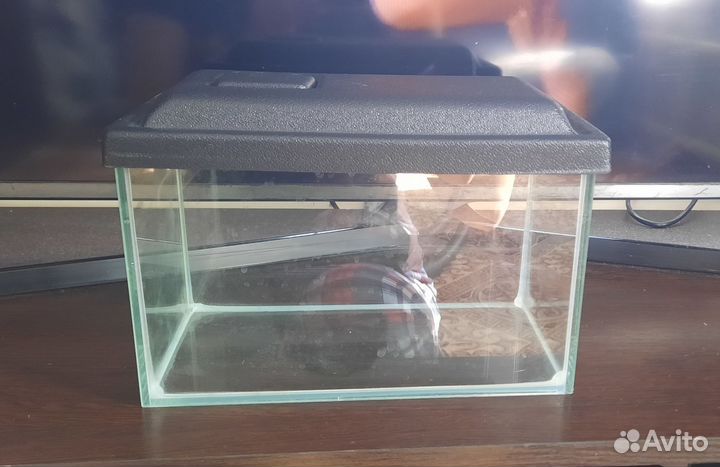 Аквариум 5 л