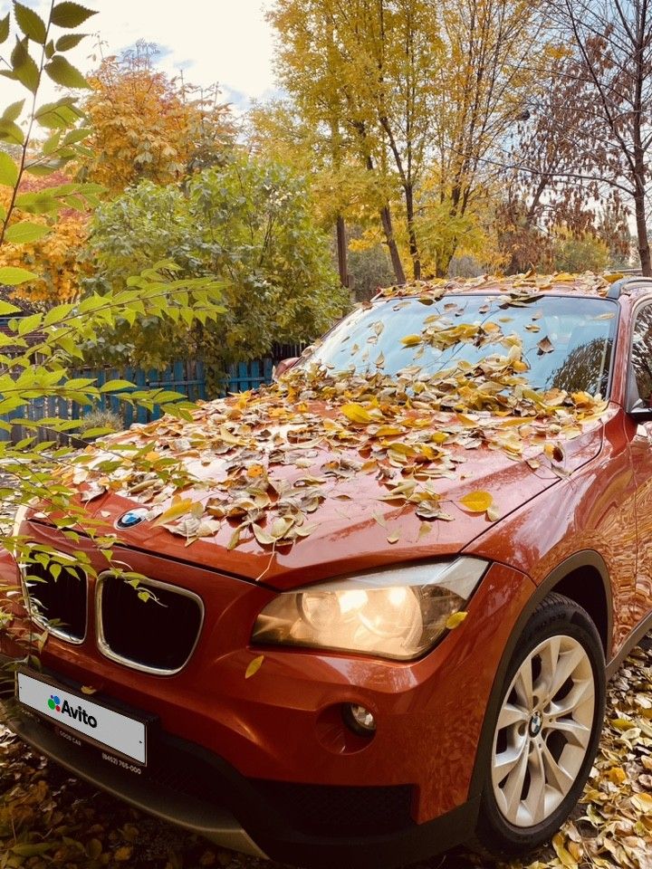 BMW X1: фото владельца