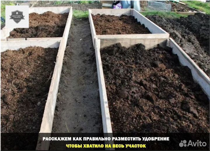 Коровяк