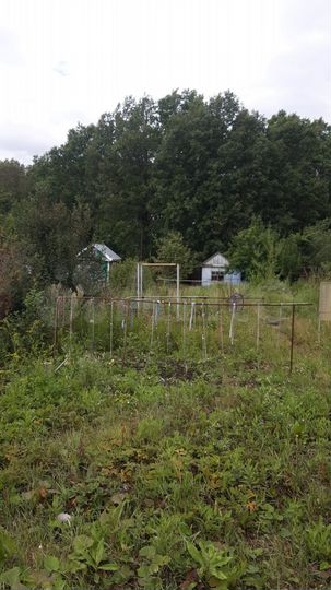 Участок 10,7 сот. (СНТ, ДНП)