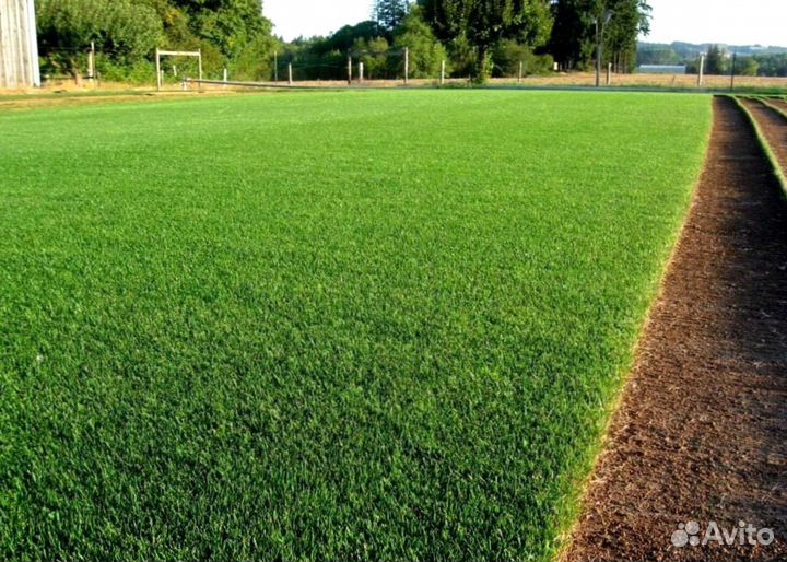Рулонный газон от производителя