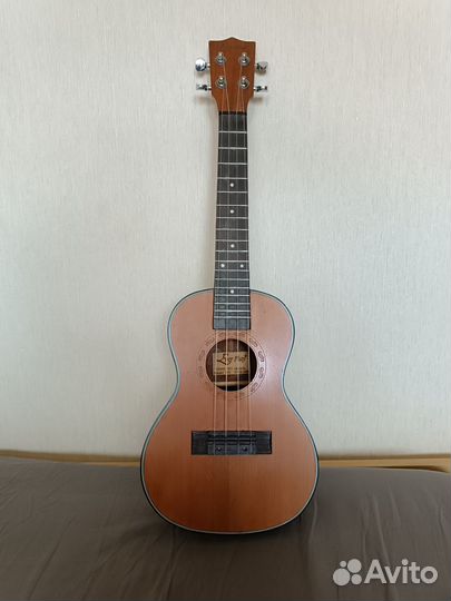 Гитара укулеле концерт Ever Play