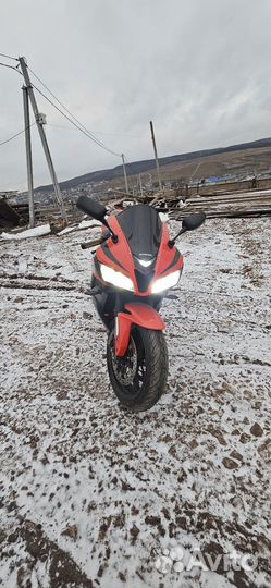 Honda CBR 600 RR