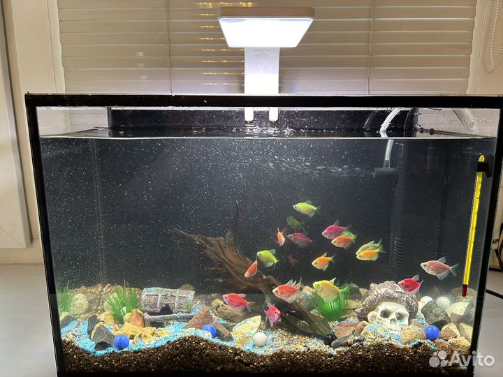 Аквариум