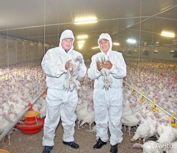 Разнорабочие на птицефабрику вахта г. Липецк