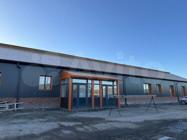 Торговая площадь, 1076 м²