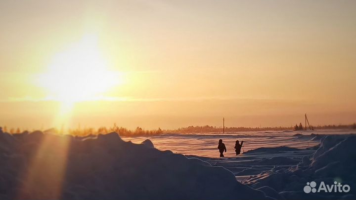 Фото и видео