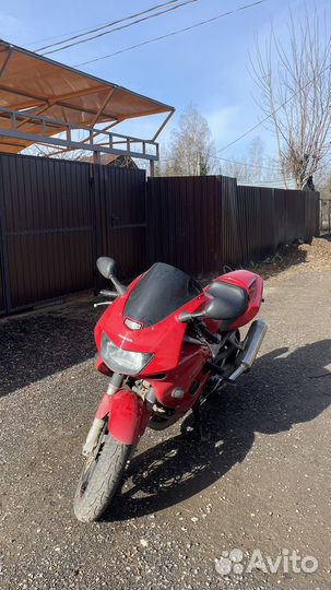 Honda vtr1000f