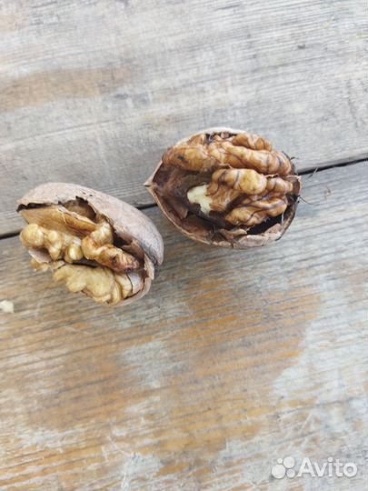 Грецкий орех 80 р