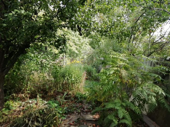 Участок 5 сот. (ИЖС)