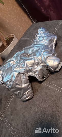 Комбинезон для маленькой собаки