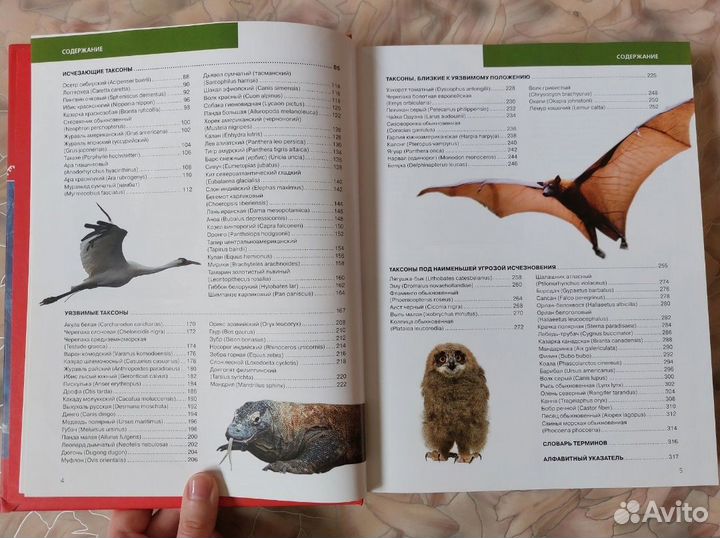 Энциклопедии