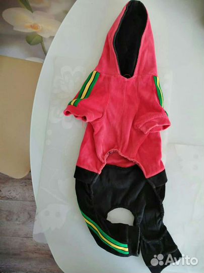 Комбинезон на собаку