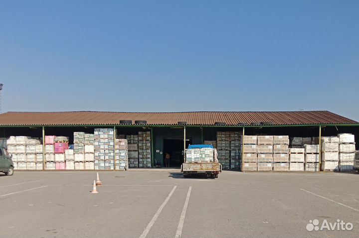 Напольная плитка