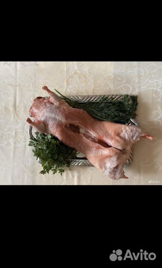 Мясо нутрии