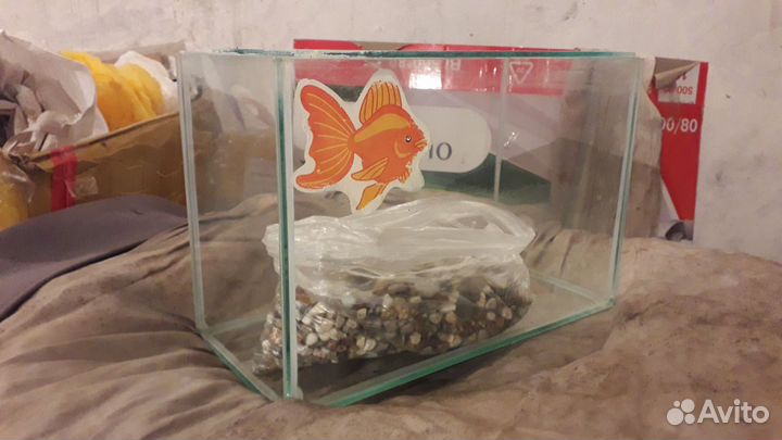 Аквариум