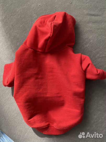 Толстовка для собаки маленькой породы S