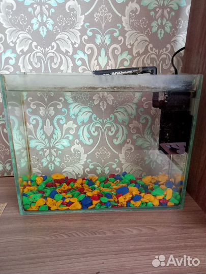 Аквариум
