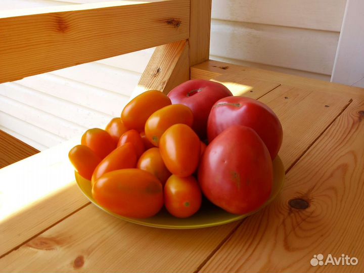 Помидоры