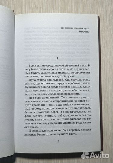 Катаев сын полка