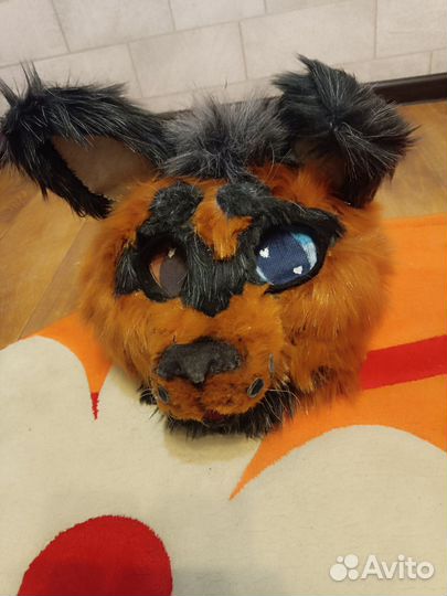 Фурсьют собаки