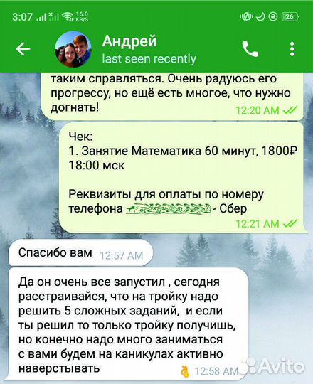 Помогу вашему сыну стать Инженером. Физика