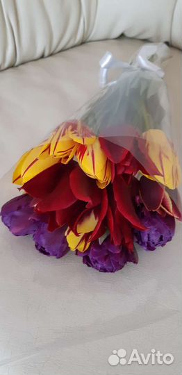 Букет, тюльпаны,цветы