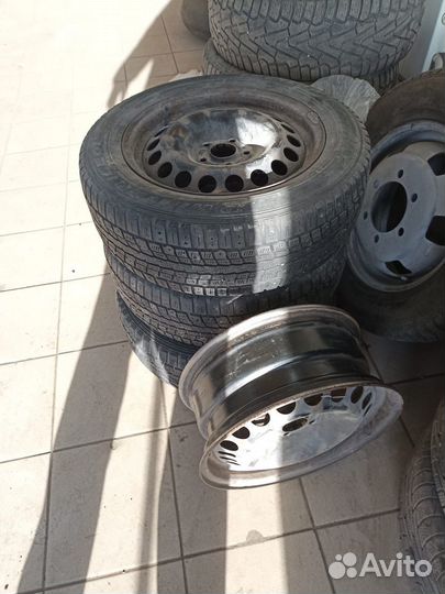 Winter Tact Nord Frost 3 205/50