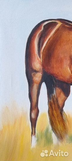 Картина лошадь маслом 60*60