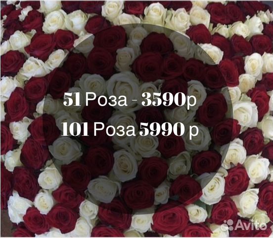 101 роза цветы