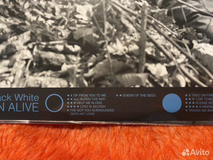 Винил Jack White «Entering Heaven Alive» цветной