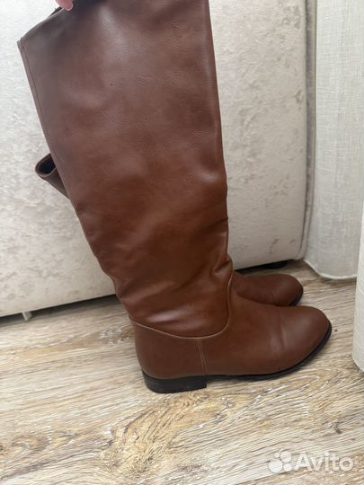 Сапоги демисезонные женские