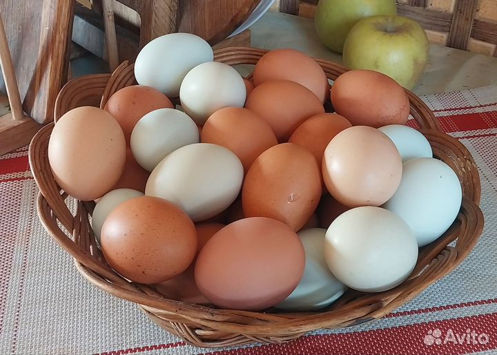 Яйца куриные