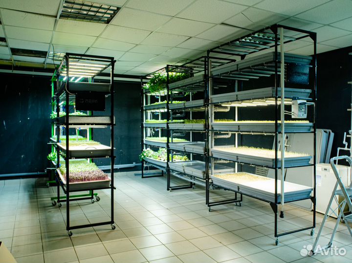 Ищу партнера для запуска вертикальной сити-фермы